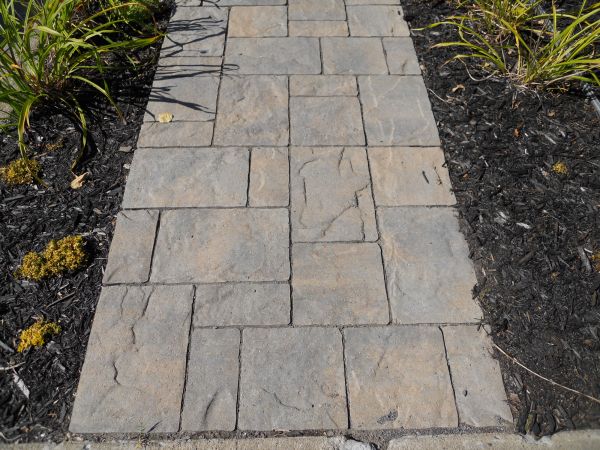 Stamped Concrete Staining in Davis