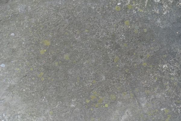 Cost of Slab Staining Service in Davis